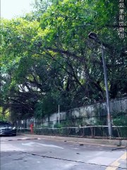 Puedo ganar tu grupo de 100 mil millones con un dólar