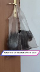 Playful Cat’s Adorable Antics in a Hanging Shopping Bag 🐱🛍️|| Heartsome 💖