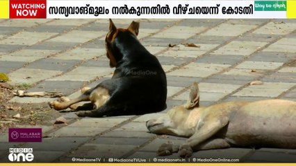 തെരുവുനായ പ്രശ്നം; കേരളം ഉൾപ്പെടെയുള്ള സംസ്ഥാനങ്ങളിലെ ചീഫ് സെക്രട്ടറിമാരെ സുപ്രിം‌കോടതി വിളിപ്പിച്ചു