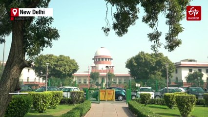 'Image Of Country...': SC Slams States On Stray Dog Case, Summons Chief Secretaries For Non-Compliance