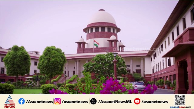 'രാജ്യത്തിൻ്റെ പ്രതിച്ഛായയെ തന്നെ ബാധിക്കുന്നു'; തെരുവുനായ ആക്രമണം, അസാധാരണ നീക്കവുമായി സുപ്രീംകോടതി