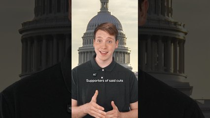 Bob Ross paintings to be auctioned to help fund public broadcasters