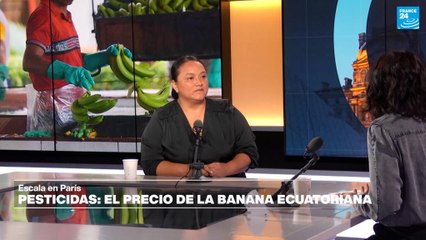 Pesticidas y violaciones de derechos humanos: el precio de la banana ecuatoriana