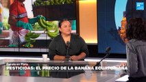 Pesticidas y violaciones de derechos humanos: el precio de la banana ecuatoriana