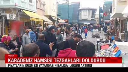 Karadeniz hamsisi tezgahları doldurdu: Fiyatların düşmesi vatandaşın balığa ilgisini artırdı