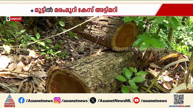 മുട്ടിൽ മരംമുറി കേസ് അട്ടിമറിക്കാൻ ഉന്നത ഇടപെടൽ, ആരോപണവുമായി മുൻ സ്‌പെഷ്യൽ പബ്ലിക് പ്രോസിക്യൂട്ടർ