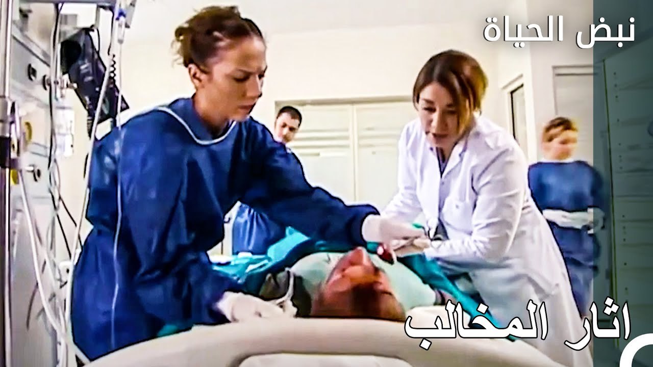 جروح قاتلة في هجوم الدب - الأطباء الحلقة 104