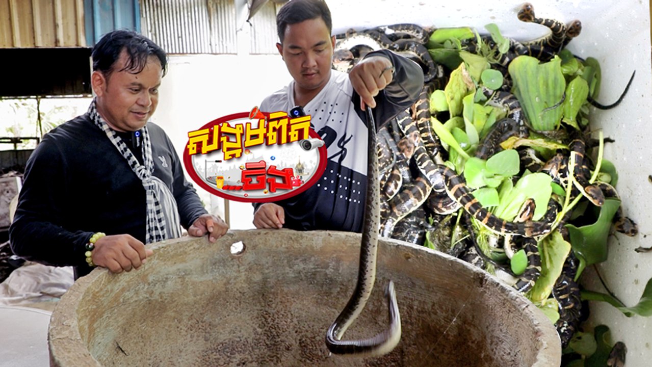 118.ចិញ្ចើមពស់បានតម្លៃខ្ពស់