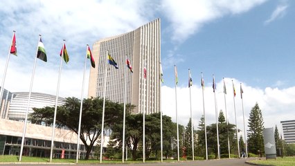 African Union, UN Security Council hold joint meeting on regional security challenges