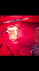 1000W 230v infrared heating lamp 1000w 230v Infrared Lamp