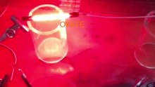 1000W 230v infrared heating lamp 1000w 230v Infrared Lamp