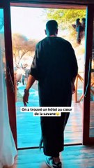 Au cœur de l’Afrique du Sud, le Serval Wildlife offre une rencontre inoubliable avec la faune sauvage🐾.