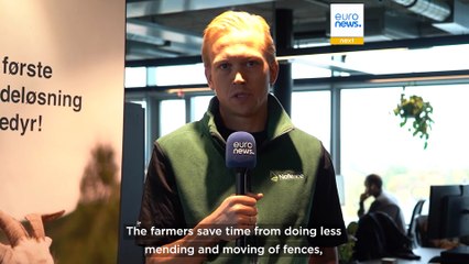 Sweden and Denmark will soon legalise virtual fencing. What is it and is it safe?