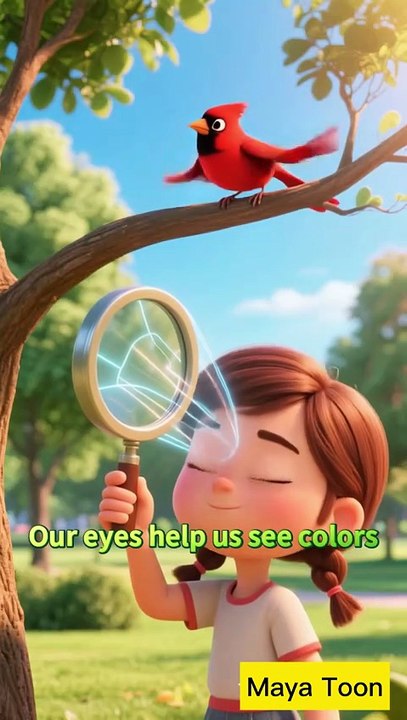 Exploring the Five Senses — How We Understand the World