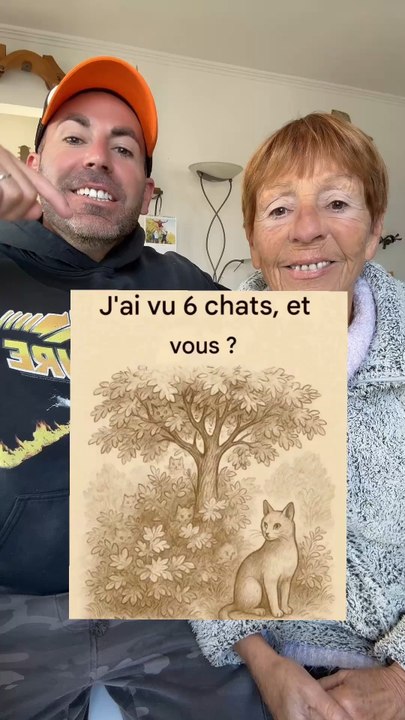 Vous avez vu combien de chats ?