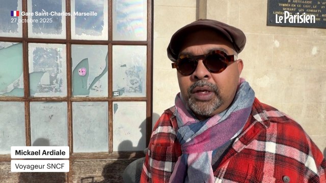 Le trafic des TGV est paralysé en Gare de Lyon à Paris à cause d’un “acte de vandalisme”.