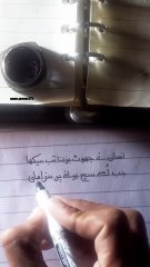 Best Urdu Lines Qoutes || True Deep Line Shairy💔💯