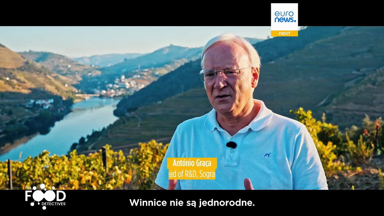 Które winogrona trafiły do której butelki? Food Detectives zapewniają idealną klarowność wina Douro