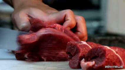 Benessere animale, finalmente un riferimento unico nazionale