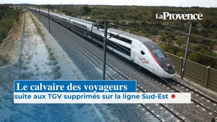 TGV supprimés sur la ligne  Sud-est : la galère des voyageurs à Marseille