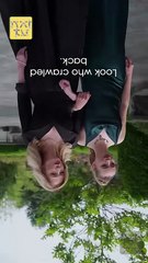 Slay to Fosters I Took His Uncle Full Movie