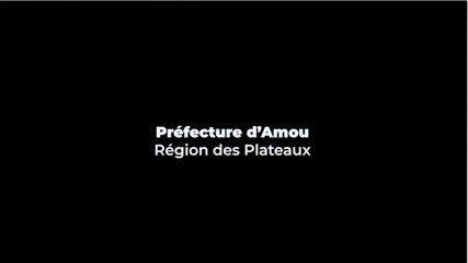 ENGAGEMENTS DES ACTEURS POUR LA REVALORISATION DE LA MÉDECINE ET DE LA PHARMACOPÉE TRADITIONNELLE AU TOGO