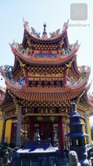 Rejected 10 times, she picked a husband by luck—marry a mafia boss who spoiled her to the sky!