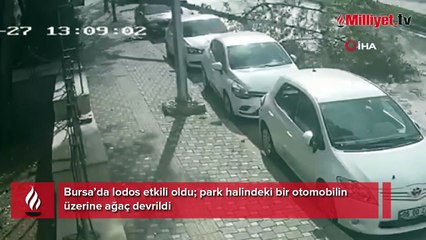 Bursa'da kuvvetli lodos! Otomobilin üzerine ağaç devrildi