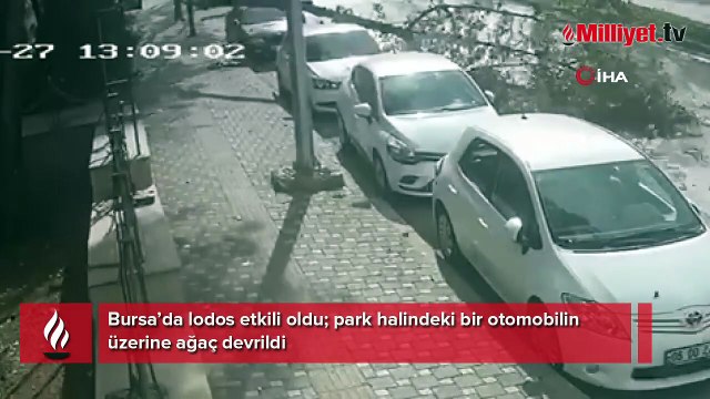 Bursa'da kuvvetli lodos! Otomobilin üzerine ağaç devrildi