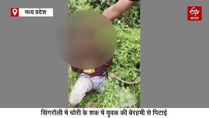सिंगरौली में रोंगटे खड़े कर देने वाली सजा, पेड़ से बांधकर युवक को बेरहमी से पीटा