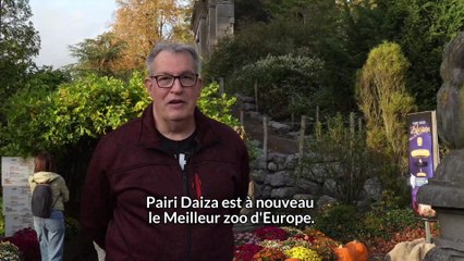 Interview de Mike Vester à Pairi Daiza
