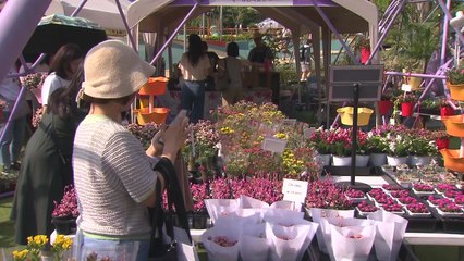 [서울] 서울국제정원박람회, 누적 방문객 1,000만 돌파 / YTN