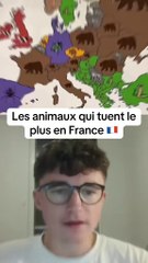 Les animaux qui tuent le plus en france #animaux #classement #quiz #jetpunk #realcreator