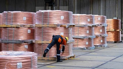 Copper Prices Exposed to AI Downturn Risk: Trafigura