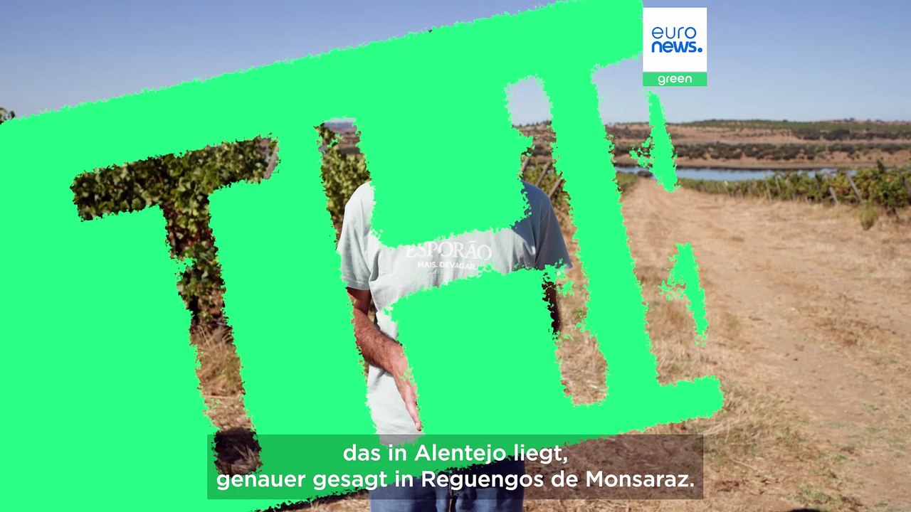 Wassereffiziente Landwirtschaft: 5 Tipps, um Wasser zu sparen (und wie die EU helfen kann)