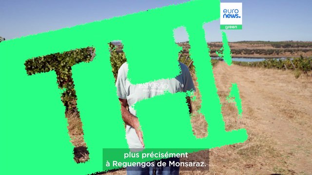 Agriculture économe en eau : 5 conseils pour économiser l'eau (et comment l'UE peut aider)