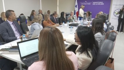 Debate por la creación del Instituto Nacional de la Mujer: entre estructura, presupuesto y efectividad