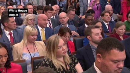 Trump Could Let Nvidia Sell Scaled-Down Blackwell Chip to China