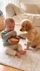 Baby Cries and Puppy Comforts Him 😢❤️ | Emotional Baby and Puppy Moment | Heart Touching Short🐾 SEO Hashtags:#BabyAndPuppy #EmotionalShort #HeartTouchingVideo #CuteAnimals #WholesomeMoments #BabyCry #PuppyLove #PureBond #ViralShorts