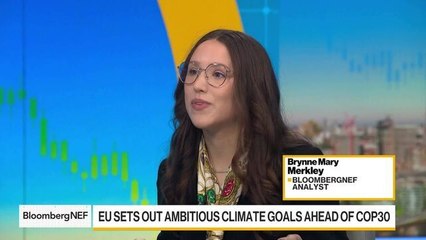 EU Leaders Paving Way to Greener Climate Goals