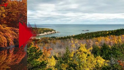 Why You Shouldn’t Rake Up All of Your Leaves!