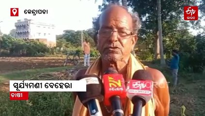 ବାତ୍ୟା 'ମୋନ୍ଥା': ଚାଷୀଙ୍କ ଛାତିରେ ଛନକା, ସଜାଗ ଅଗ୍ନିଶମ ବାହିନୀ