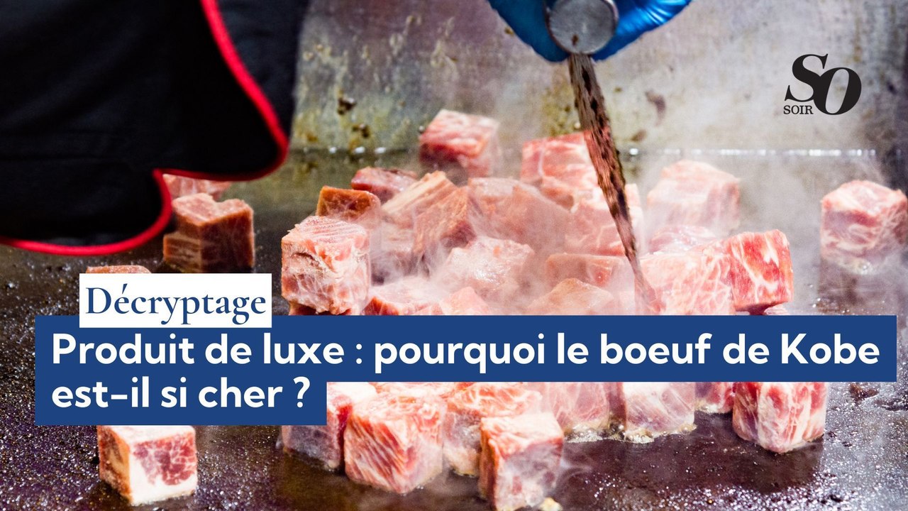 Décryptage : Produit de luxe, pourquoi le boeuf de Kobe est-il si cher ?