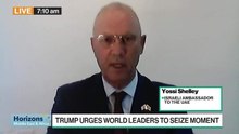 Shelley on Peace Deal: Arrived at an Irreversible Moment