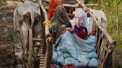 बैलगाड़ी से अस्पताल पहुंची प्रेग्नेंट महिला