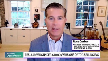 Tesla's Cheaper Models Fail to Impress