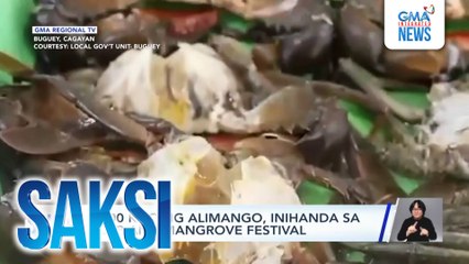 1,000 kilo ng alimango, inihanda sa Crab and Mangrove Festival | Saksi
