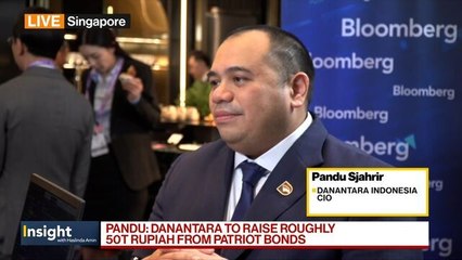 Indonesia Wealth Fund CIO on Investment Strategies