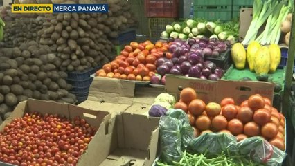 Fuertes lluvias impactan la producción agrícola y eleva precios en Merca Panamá