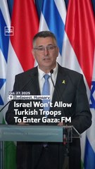 Israel Won’t Allow Turkish Troops To Enter Gaza: FM